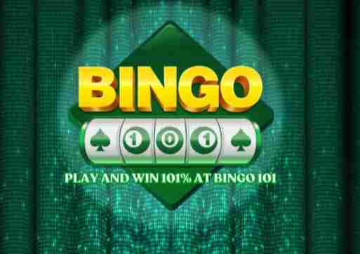 Bingo 101